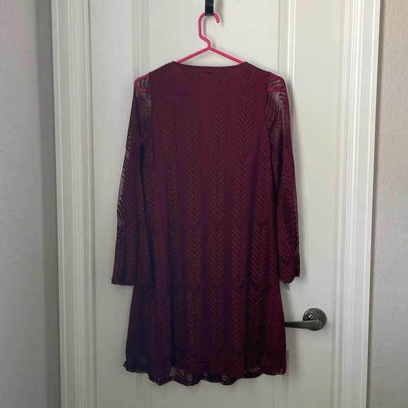 PINKBLUSH Long-Sleeved Dress - Picture 4 of 4